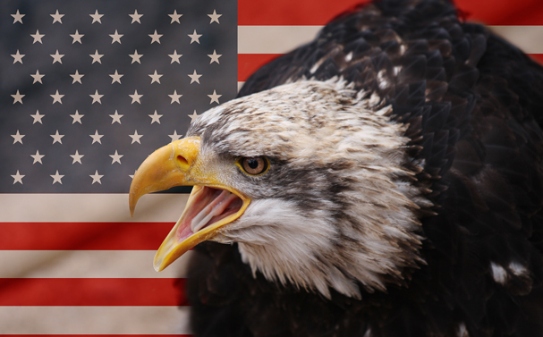 kartallı amerika bayrağı