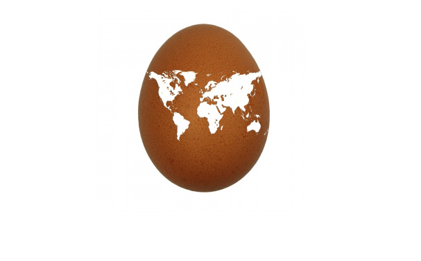 yumurta üzerine çilizmiş harita