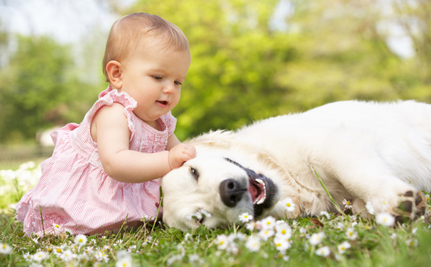 köpek ve bebek