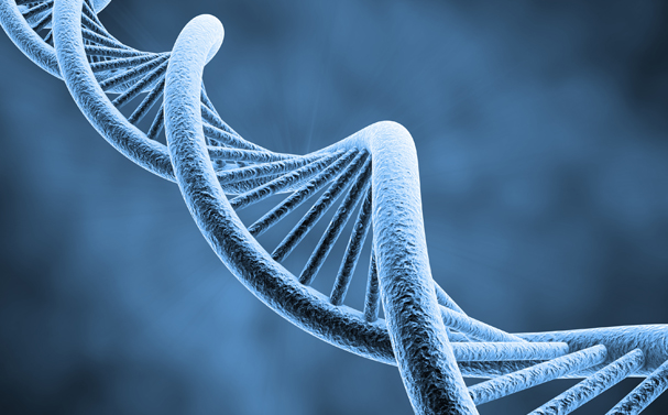 DNA