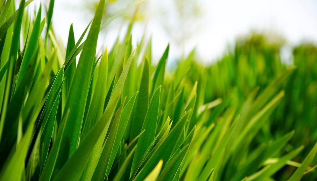 ottanplastik_gazete_haberjpg_29.06.2013_04d64cc