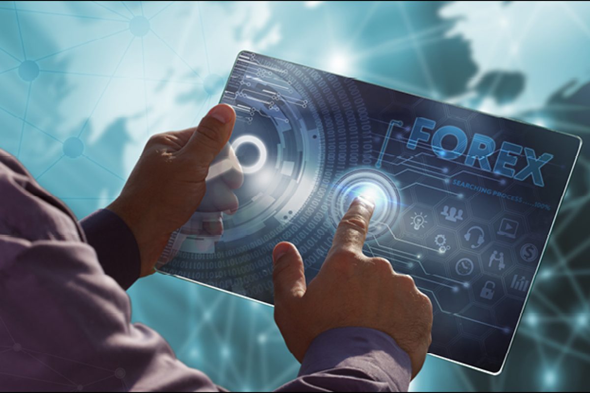 AnaSayfa - Forex Vote! forex iletişim