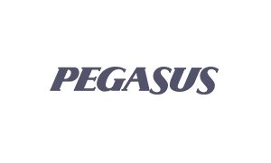 kademo.sitenvarmi.com-pegasus